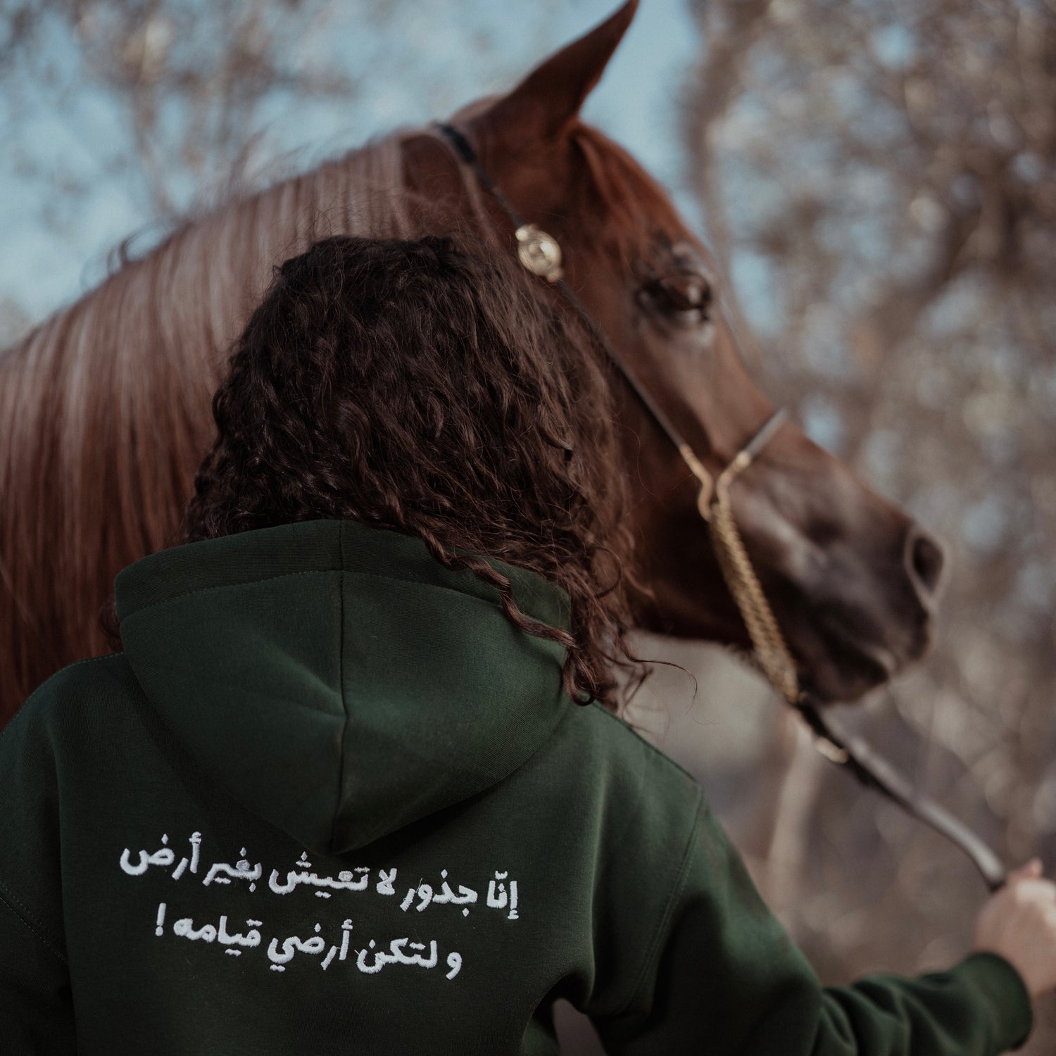 Malamih winter collection